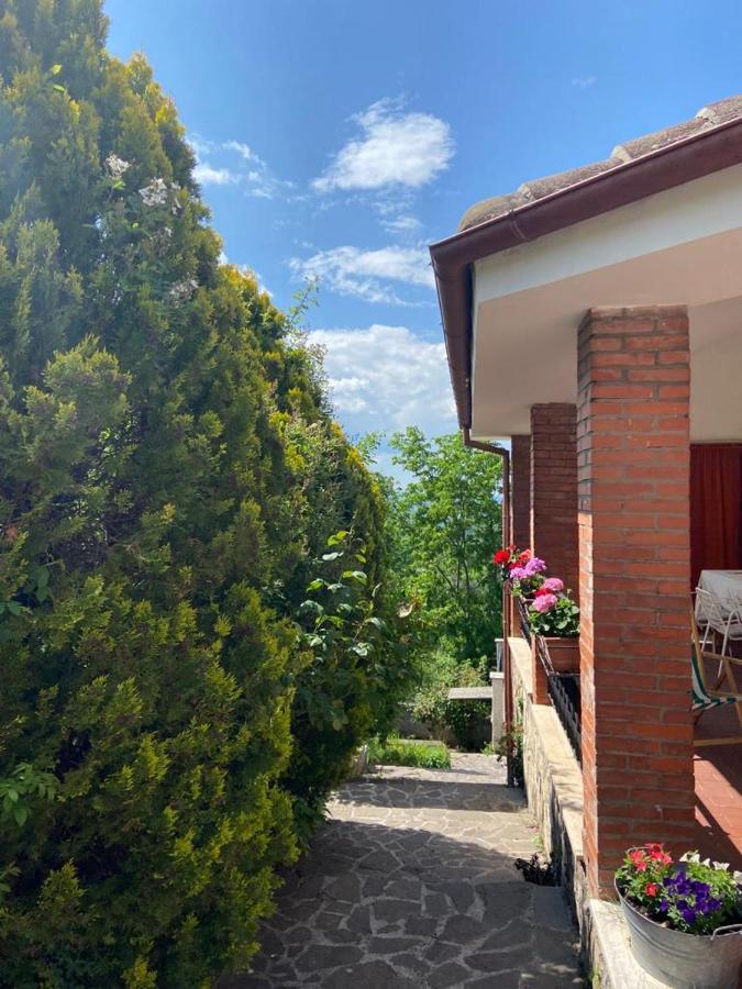 La Stella Danzante B&B Camerata Vecchia Exterior photo